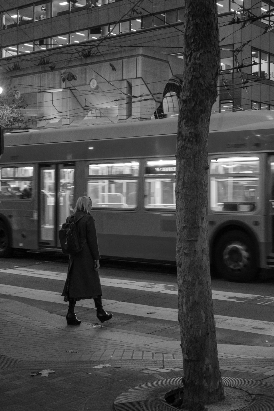Urban Escape, photograph 6