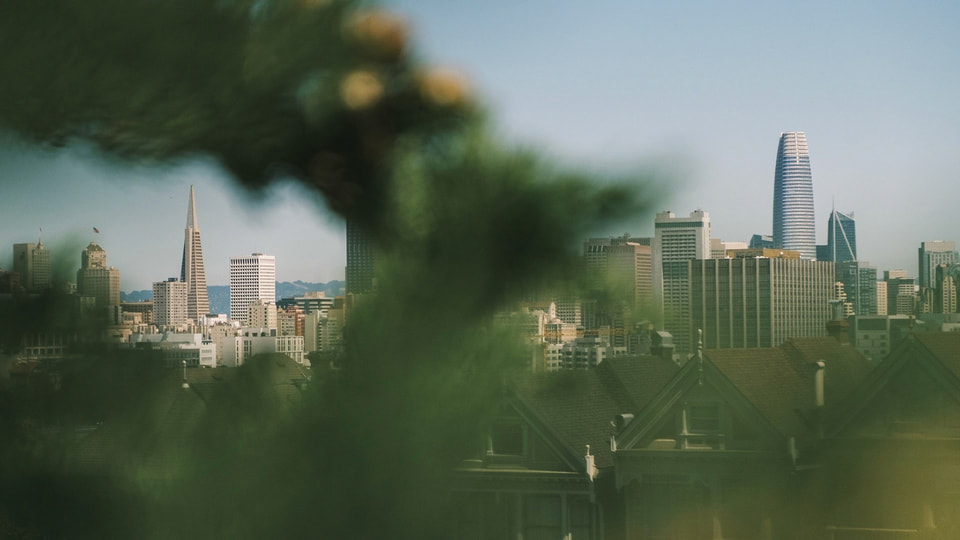 Urban Escape, photograph 11
