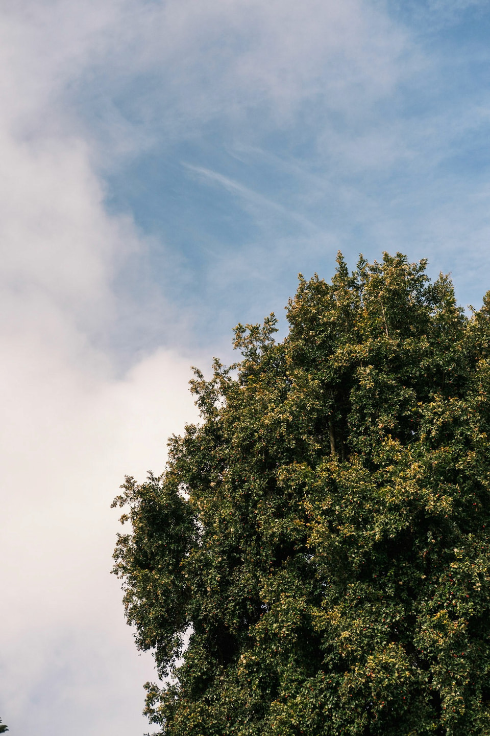 Stillness, photograph 4