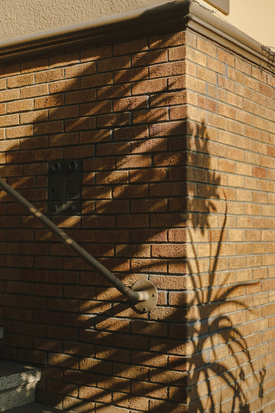 Light / Shadow, photograph 7