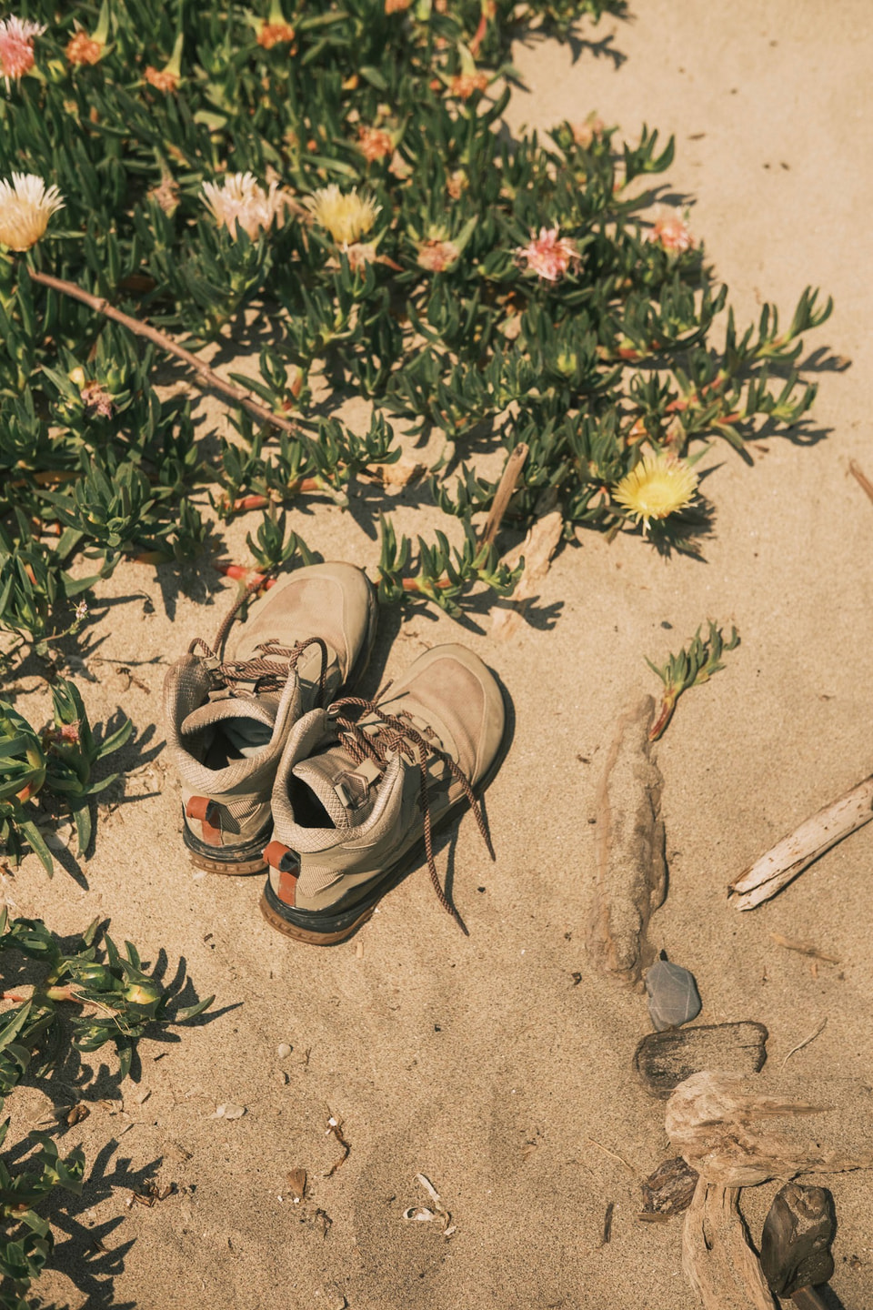 Beachscapes, photograph 5