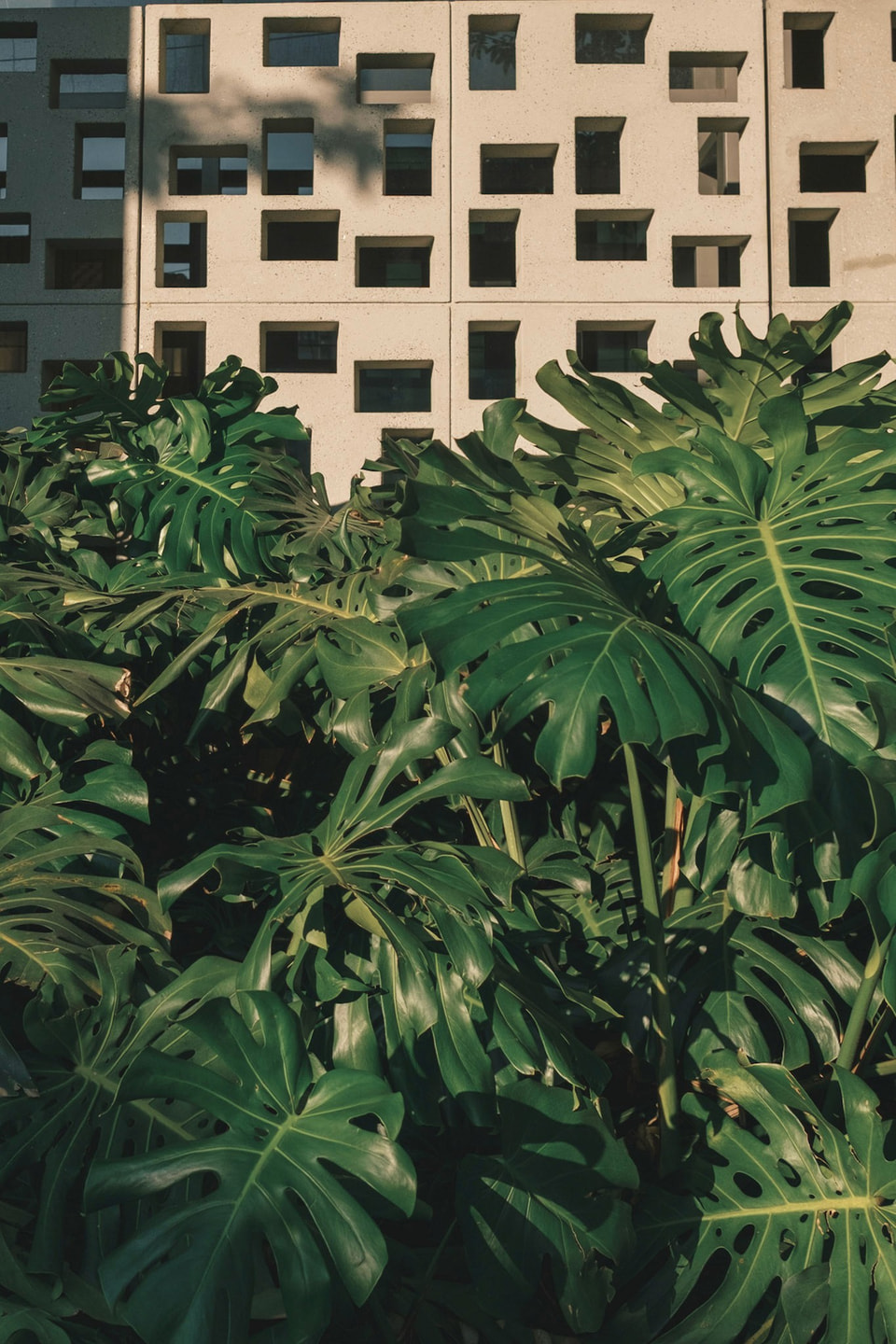 Geometry, photograph 6