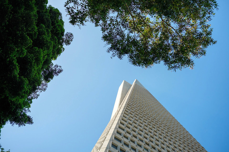Urban Escape, photograph 13