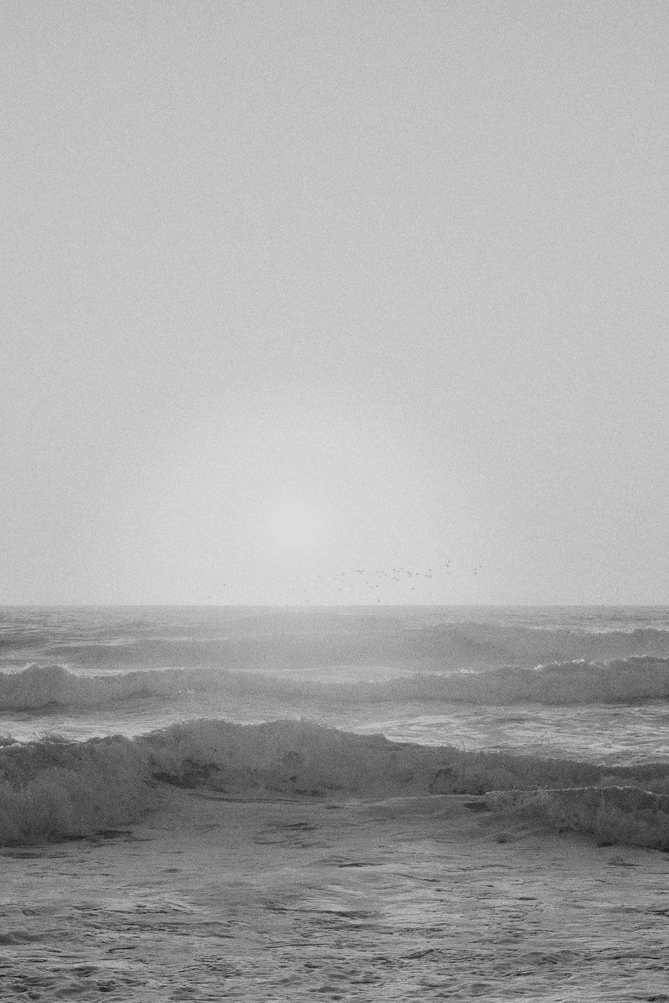 Beachscapes, photograph 21