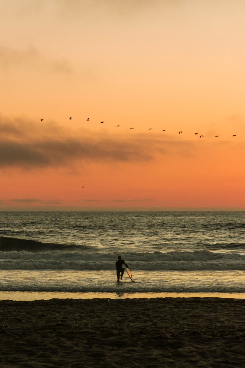 Beachscapes, photograph 7