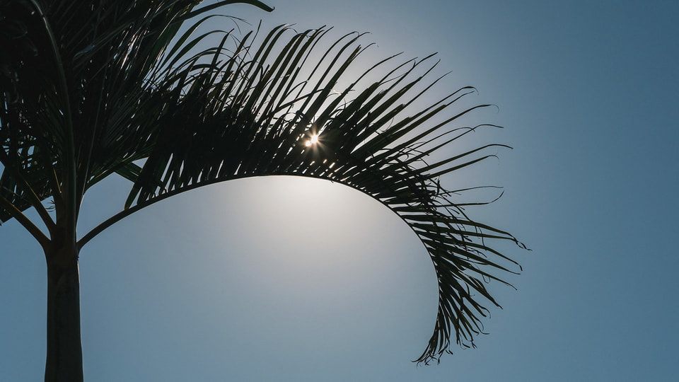 Beachscapes, photograph 22