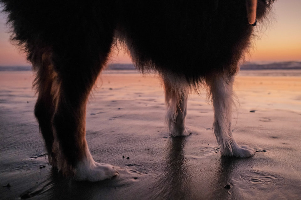 Beachscapes, photograph 8