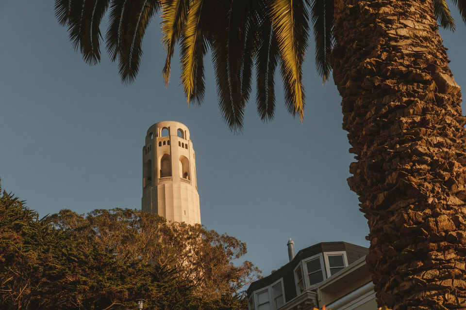 Urban Escape, photograph 9