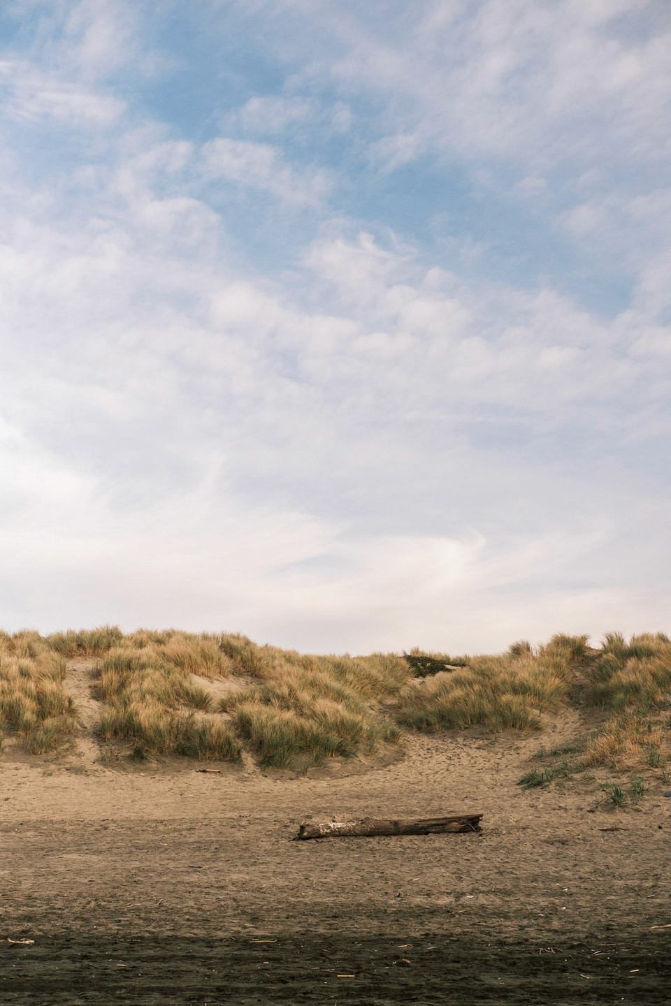 Beachscapes, photograph 16