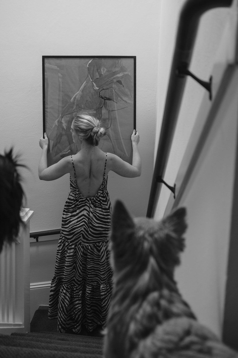 Pets, photograph 7