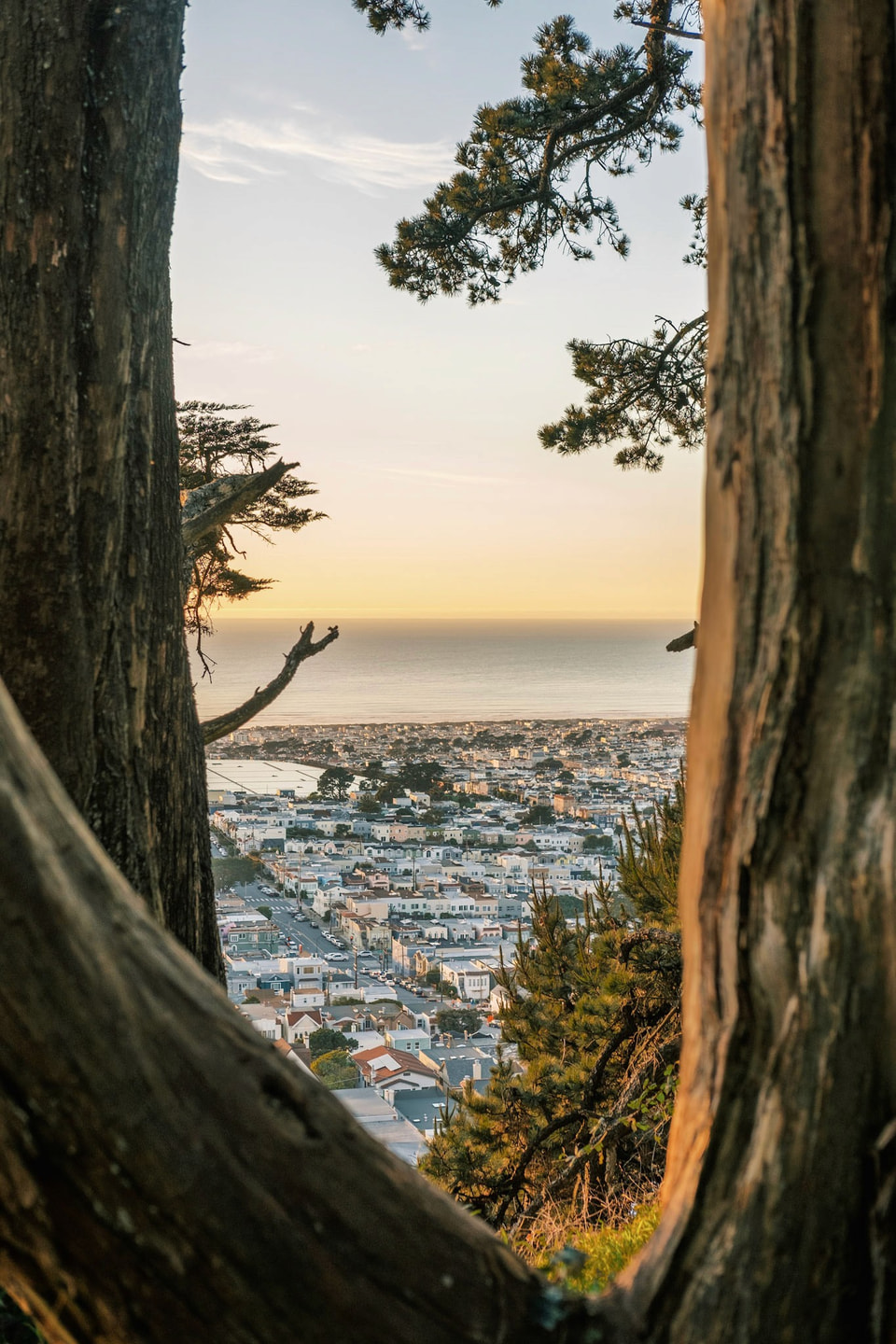Outlook, photograph 11