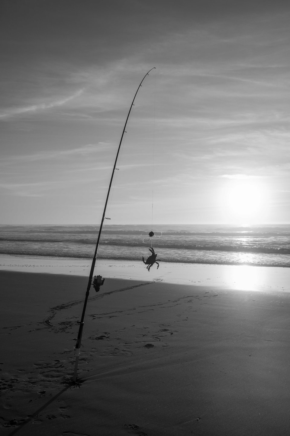 Beachscapes, photograph 14