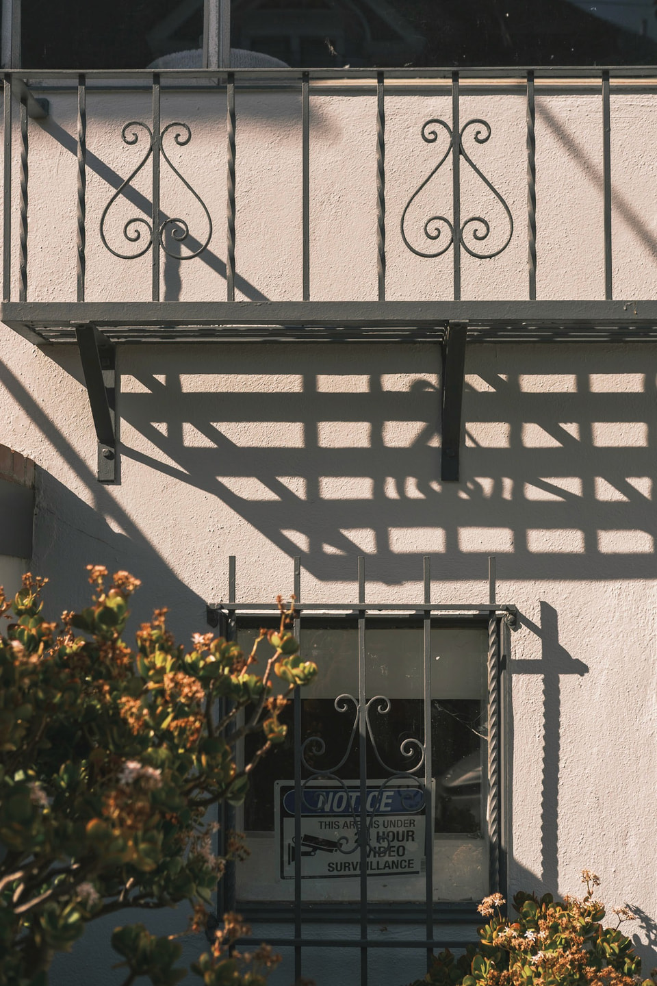 Light / Shadow, photograph 10
