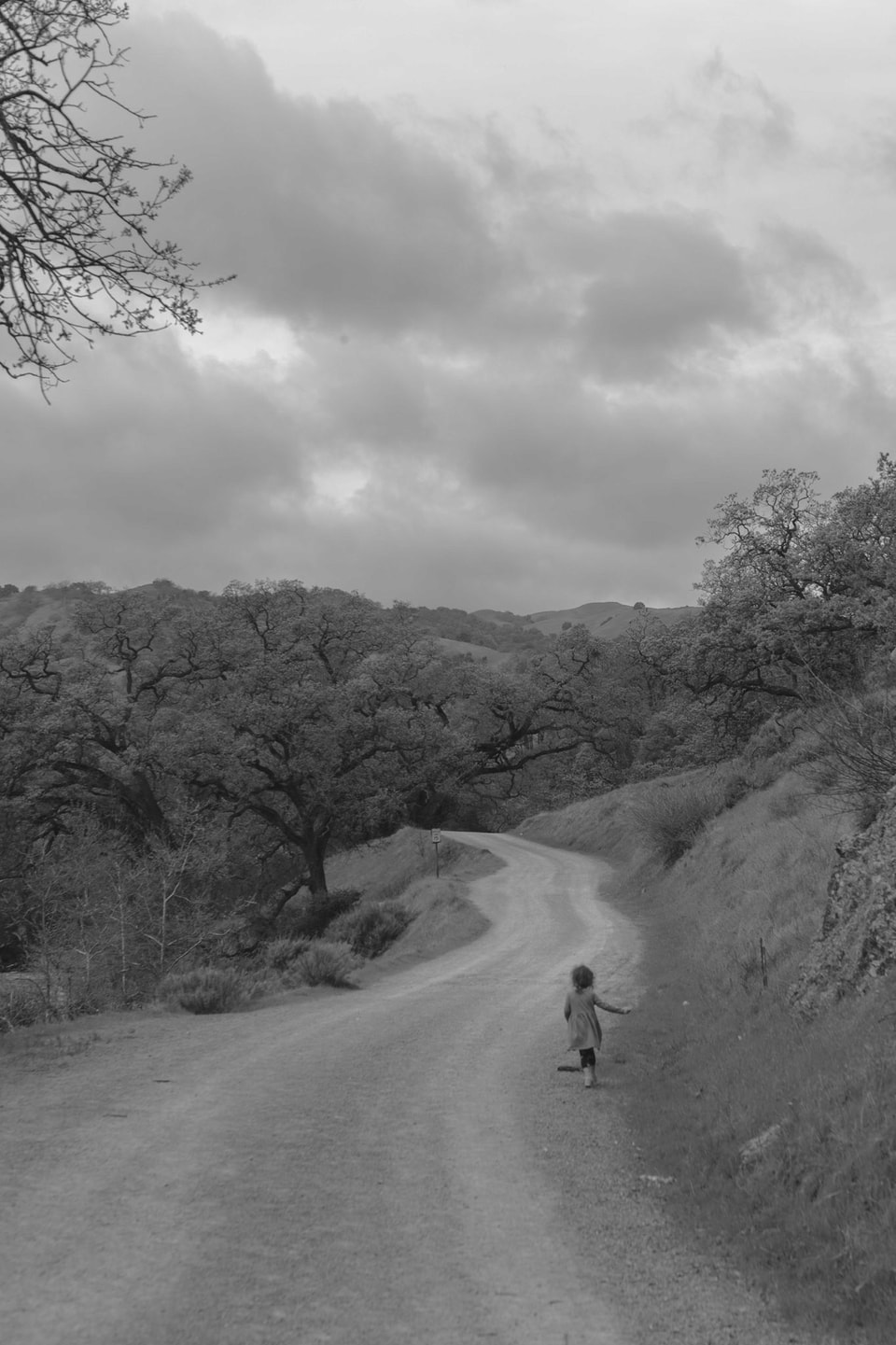 N=1, photograph 5