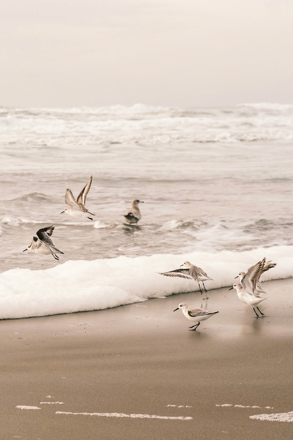 Beachscapes, photograph 15
