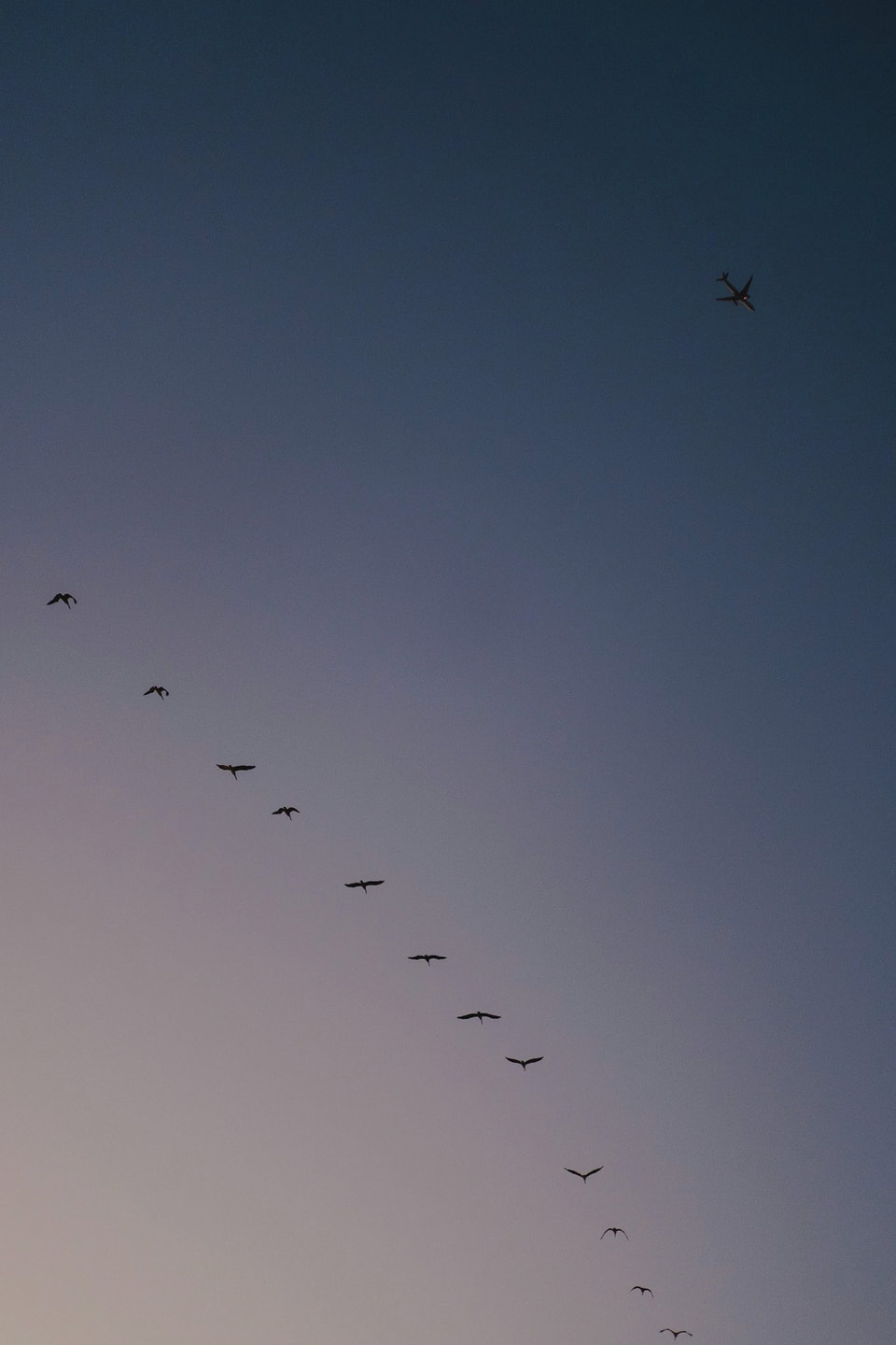 Beachscapes, photograph 24