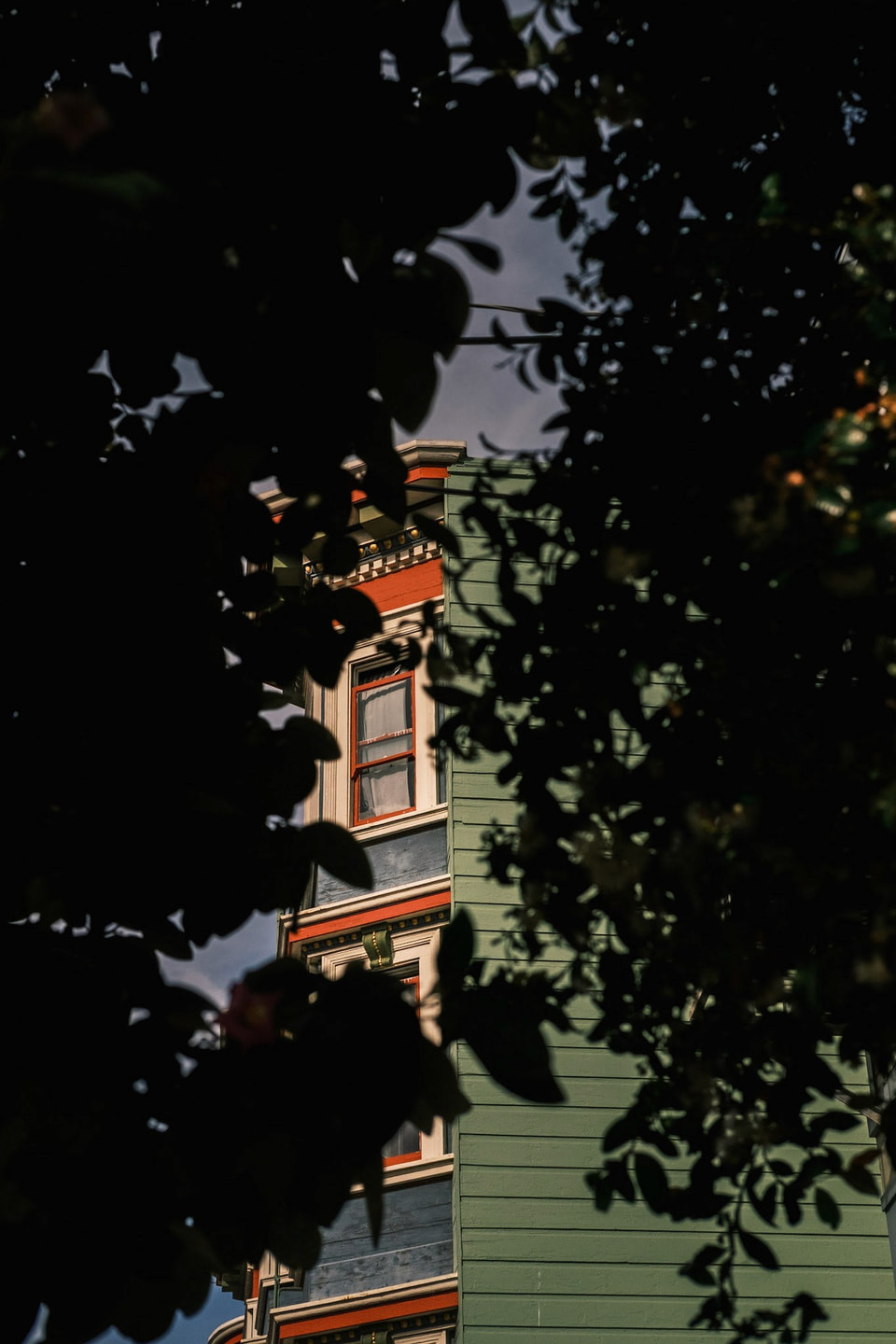 Facades, photograph 11