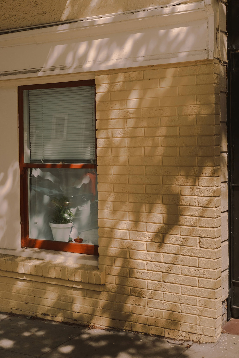 Light / Shadow, photograph 6