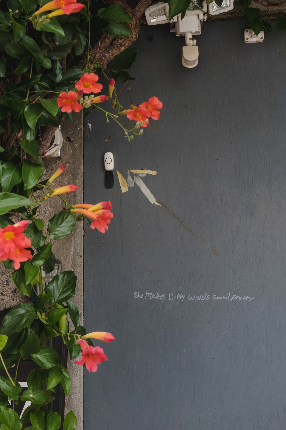Use Your Words, photograph 9